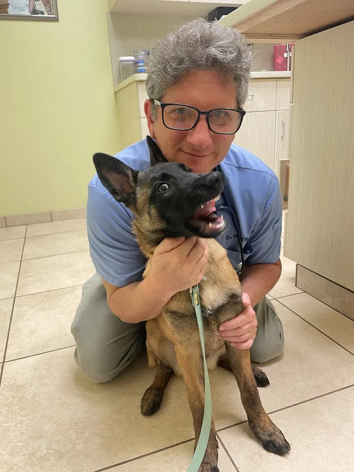 Palm City Animal Medical Center 12