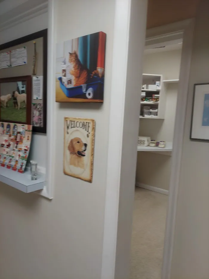 Boulevard Animal Hospital 12