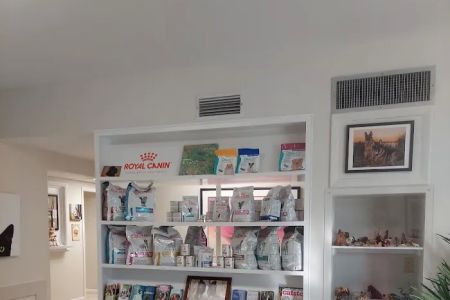 Boulevard Animal Hospital