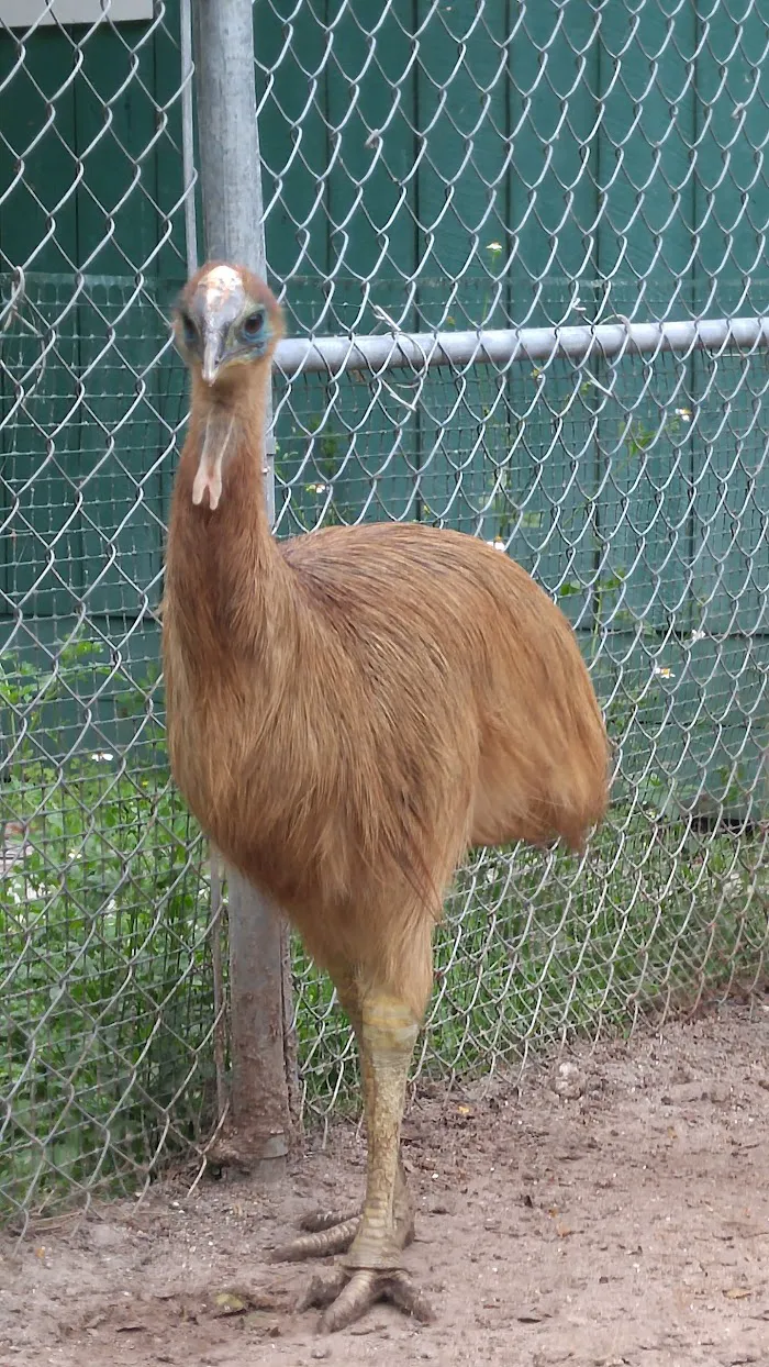 Avian & Exotic Clinic of Palm City 12