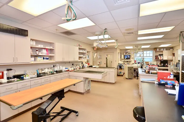 Martin Downs Animal Hospital 1