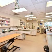 Martin Downs Animal Hospital ico