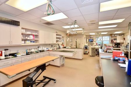 Martin Downs Animal Hospital