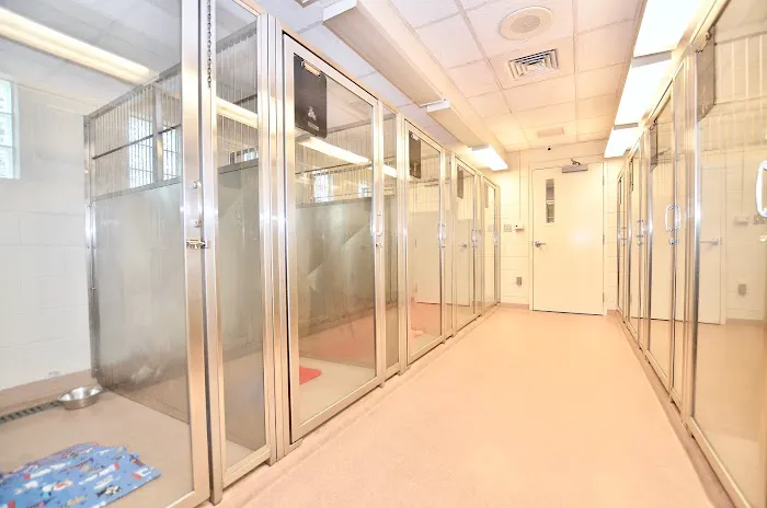 Martin Downs Animal Hospital 4