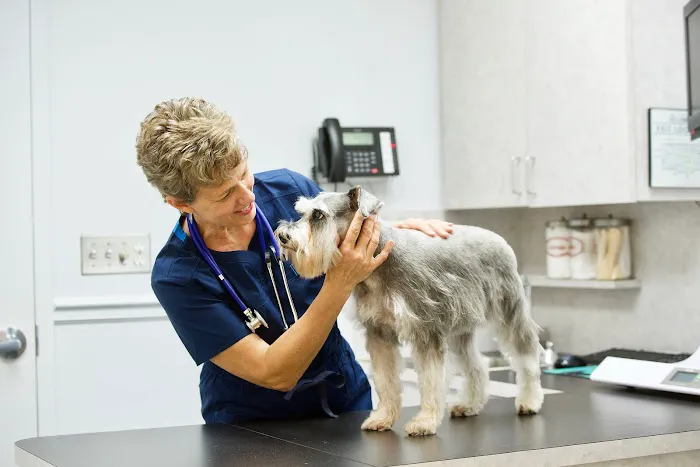 Martin Downs Animal Hospital 2