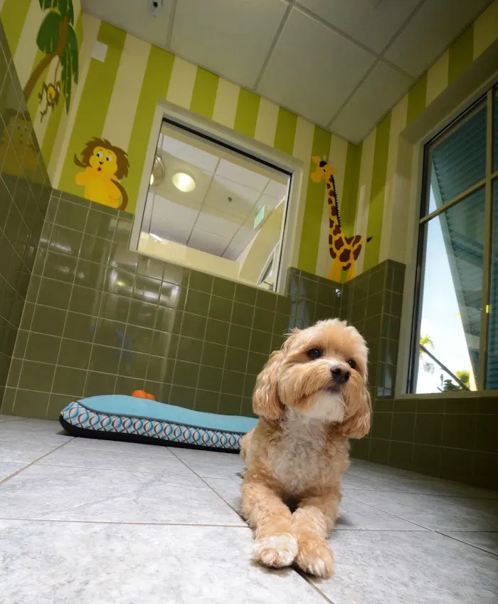 Veterinary Medical Center of St. Lucie County 12