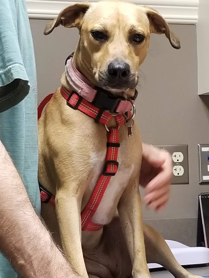 Veterinary Medical Center of St. Lucie County 12