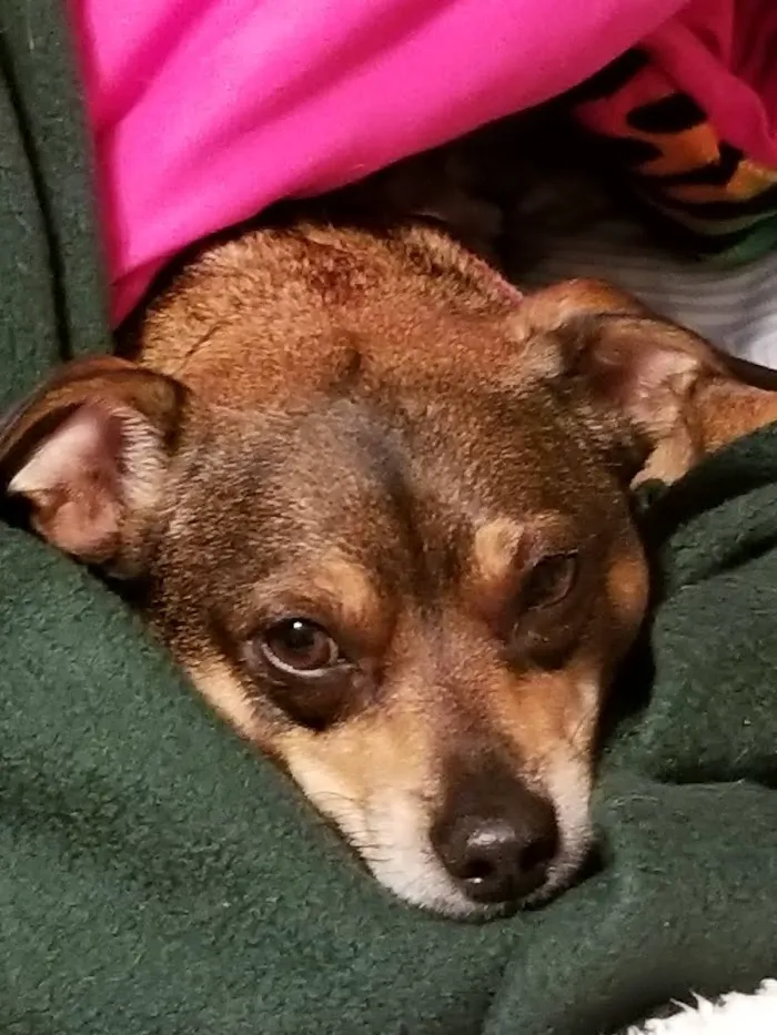 Veterinary Medical Center of St. Lucie County 12