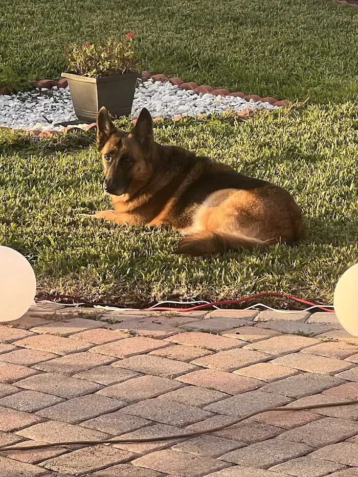 Veterinary Medical Center of St. Lucie County 12