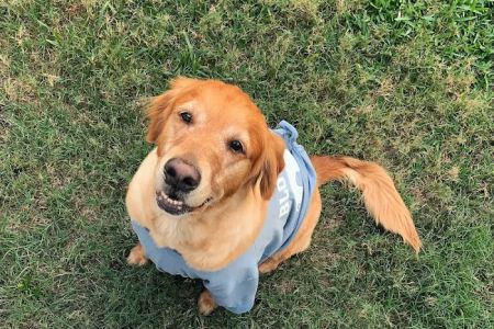East Coast Veterinary Surgery, LLC