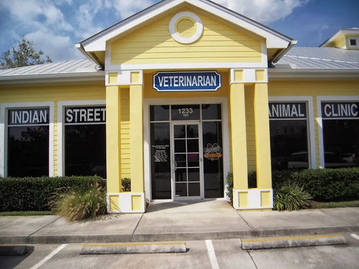 Indian Street Animal Clinic 12