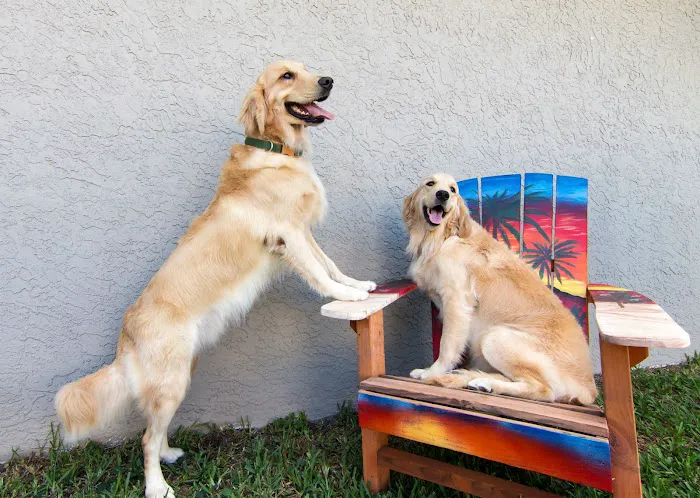 Animal Care Extraordinaire 12