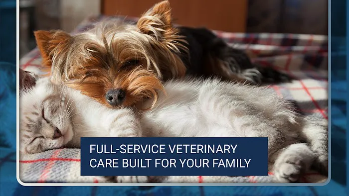 Monterey Animal Clinic 12