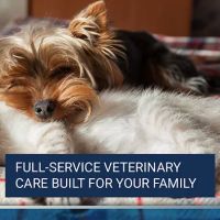 Monterey Animal Clinic ico