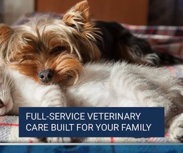 Monterey Animal Clinic