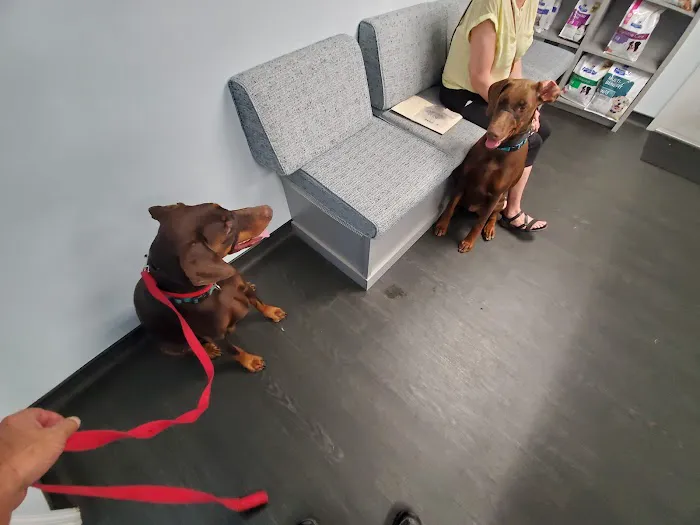 Monterey Animal Clinic 12