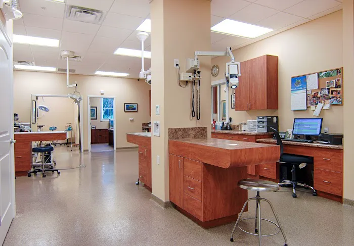 Stuart Sound Animal Hospital 12