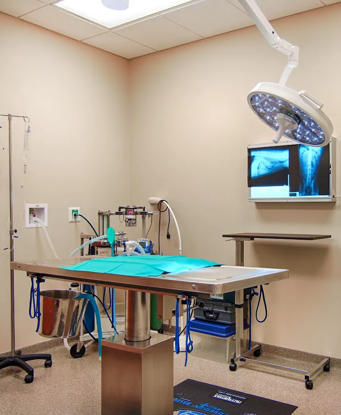 Stuart Sound Animal Hospital 12