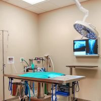 Stuart Sound Animal Hospital ico