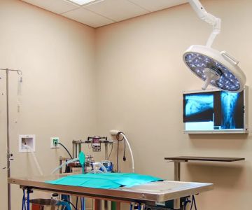 Stuart Sound Animal Hospital