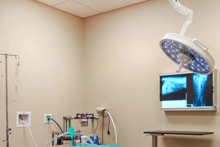 Stuart Sound Animal Hospital