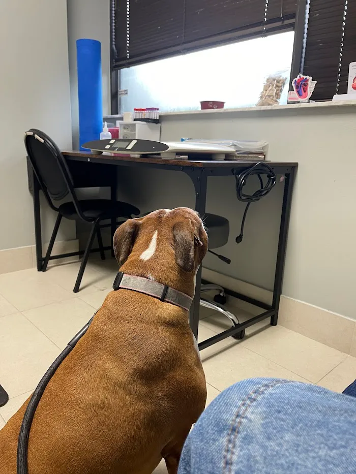 Sawgrass Veterinary Cardiology 12
