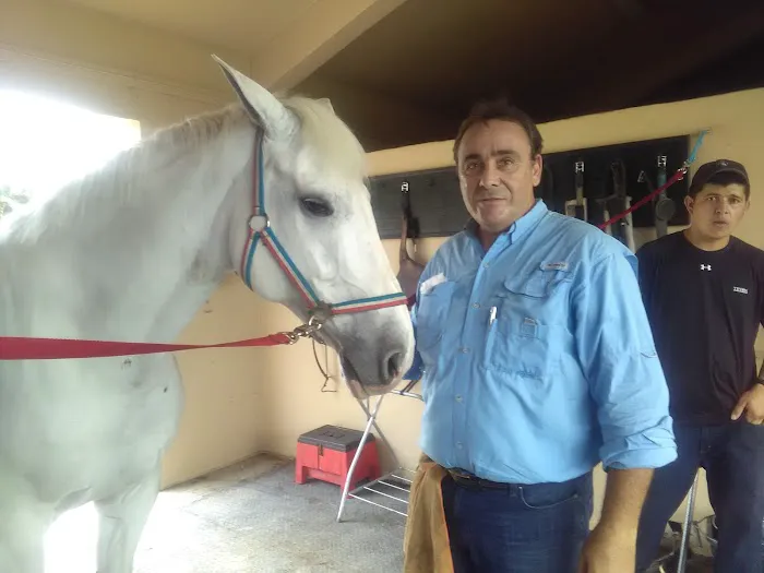 Equine Dentistry Vincent Ferry 12