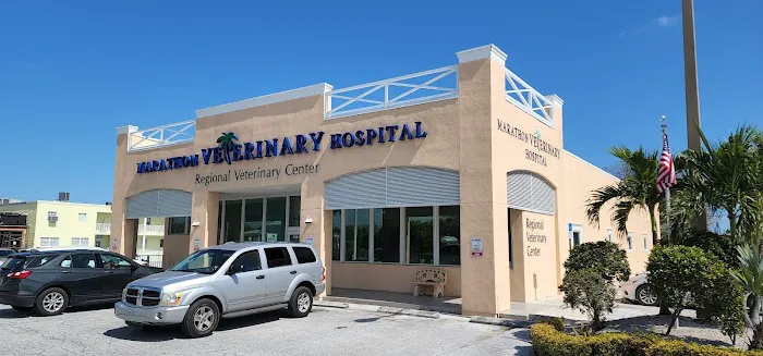 Marathon Veterinary Hospital, A Thrive Pet Healthcare Partner 12