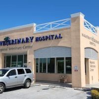 Marathon Veterinary Hospital, A Thrive Pet Healthcare Partner ico