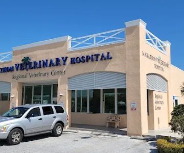 Marathon Veterinary Hospital, A Thrive Pet Healthcare Partner