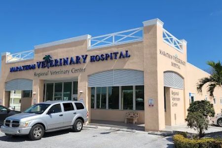 Marathon Veterinary Hospital, A Thrive Pet Healthcare Partner