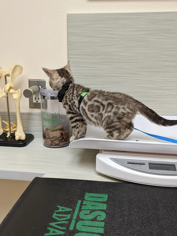 Marathon Veterinary Hospital, A Thrive Pet Healthcare Partner 12