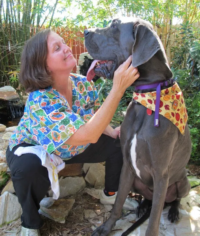 Marathon Veterinary Hospital, A Thrive Pet Healthcare Partner 12
