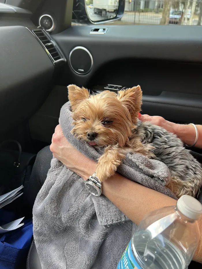 UF Small Animal Hospital 12