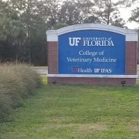 UF Small Animal Hospital ico