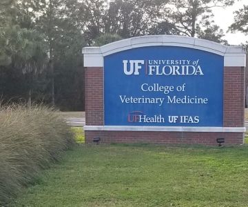 UF Small Animal Hospital