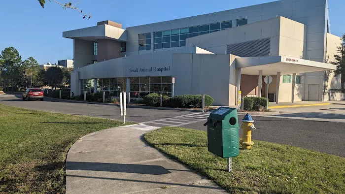 UF Small Animal Hospital 12