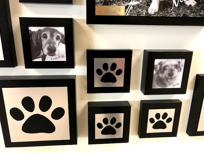 UF Small Animal Hospital 12