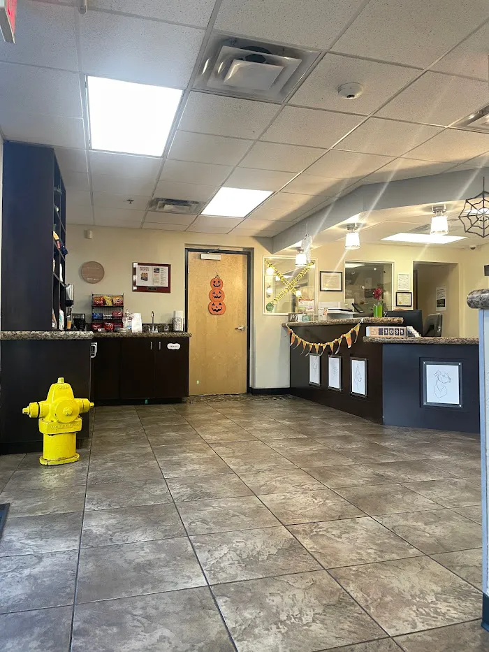 The Scottsdale Veterinary Clinic 12