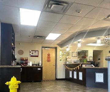 The Scottsdale Veterinary Clinic