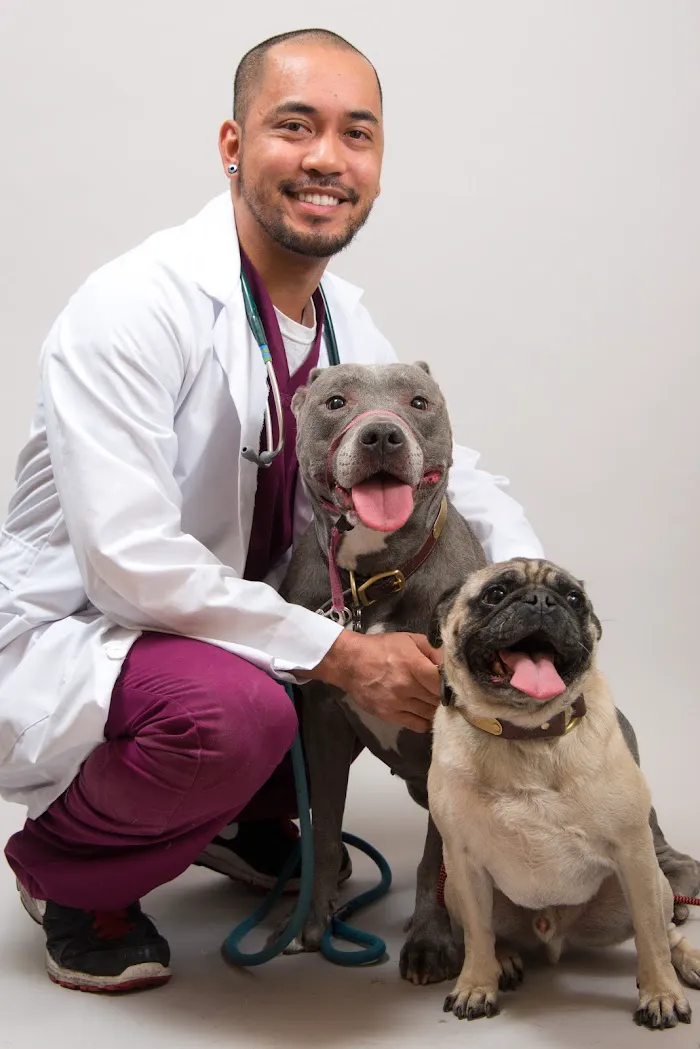 The Scottsdale Veterinary Clinic 12