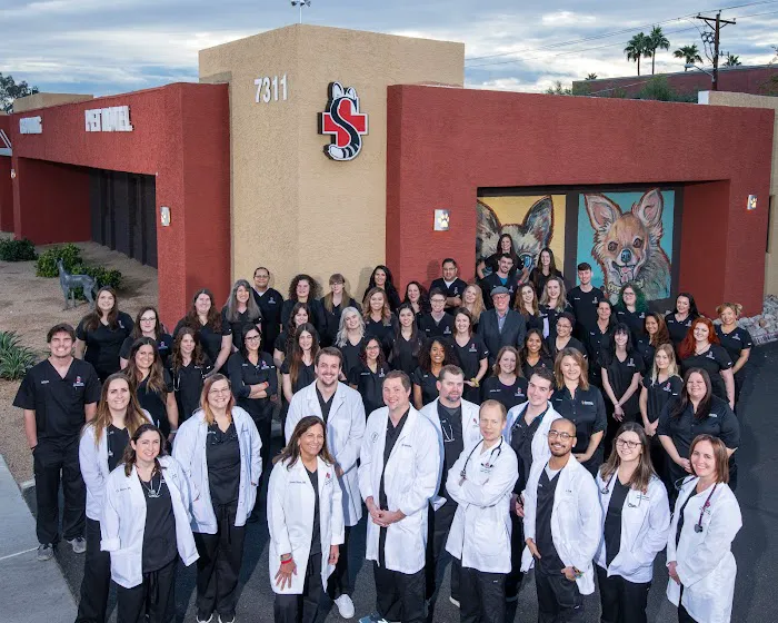 The Scottsdale Veterinary Clinic 12