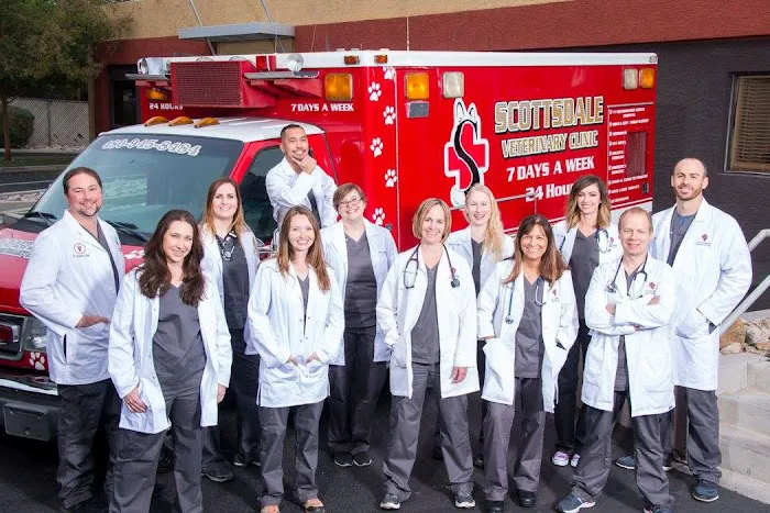 The Scottsdale Veterinary Clinic 12