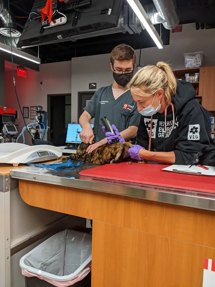 Veterinary Emergency Group 12