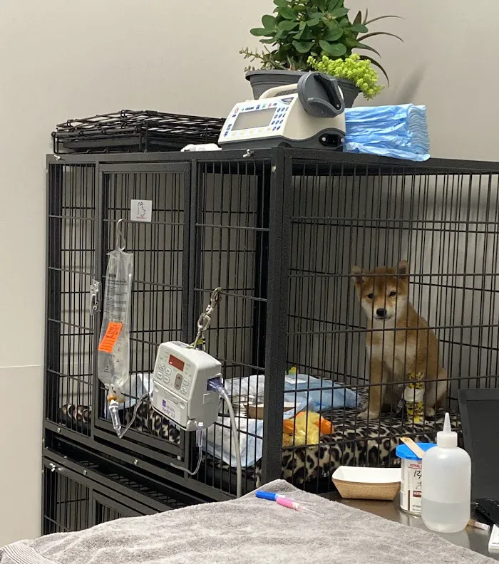 Veterinary Emergency Group 12