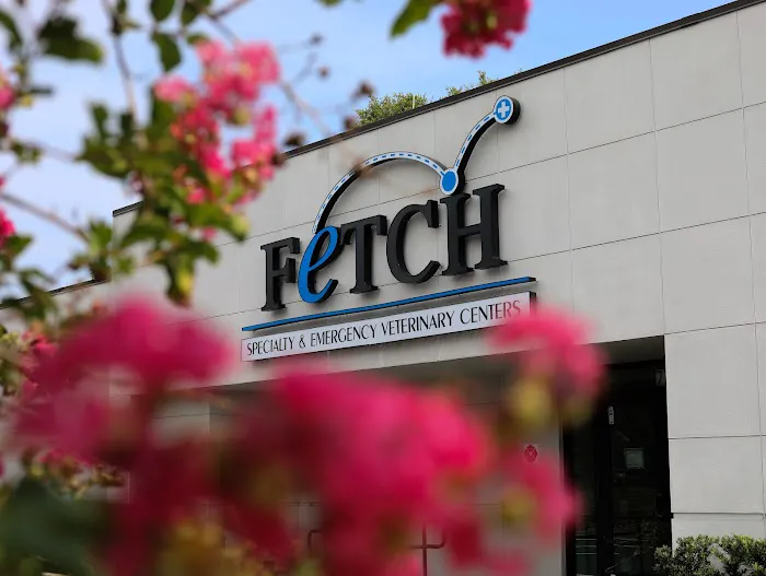 Fetch Specialty & Emergency Veterinary Centers - Brandon, FL 12