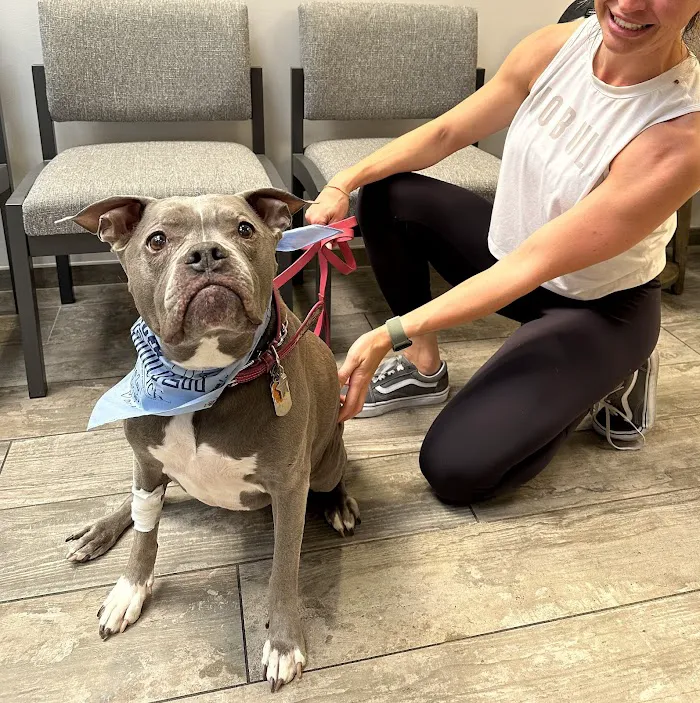 Fetch Specialty & Emergency Veterinary Centers - Brandon, FL 12