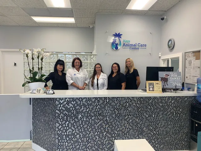 Keys Animal Care Center 12