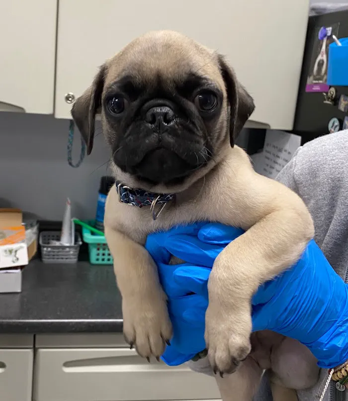 Keys Animal Care Center 12