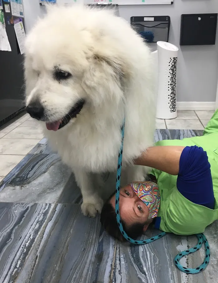 Keys Animal Care Center 12